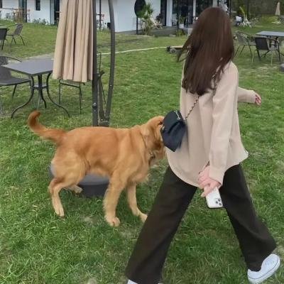 懵懵哒爱情
